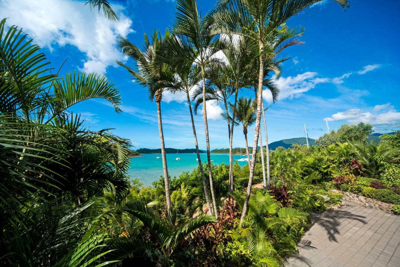 Baybliss Apartments Studio 1 Shute Harbour 外观 照片