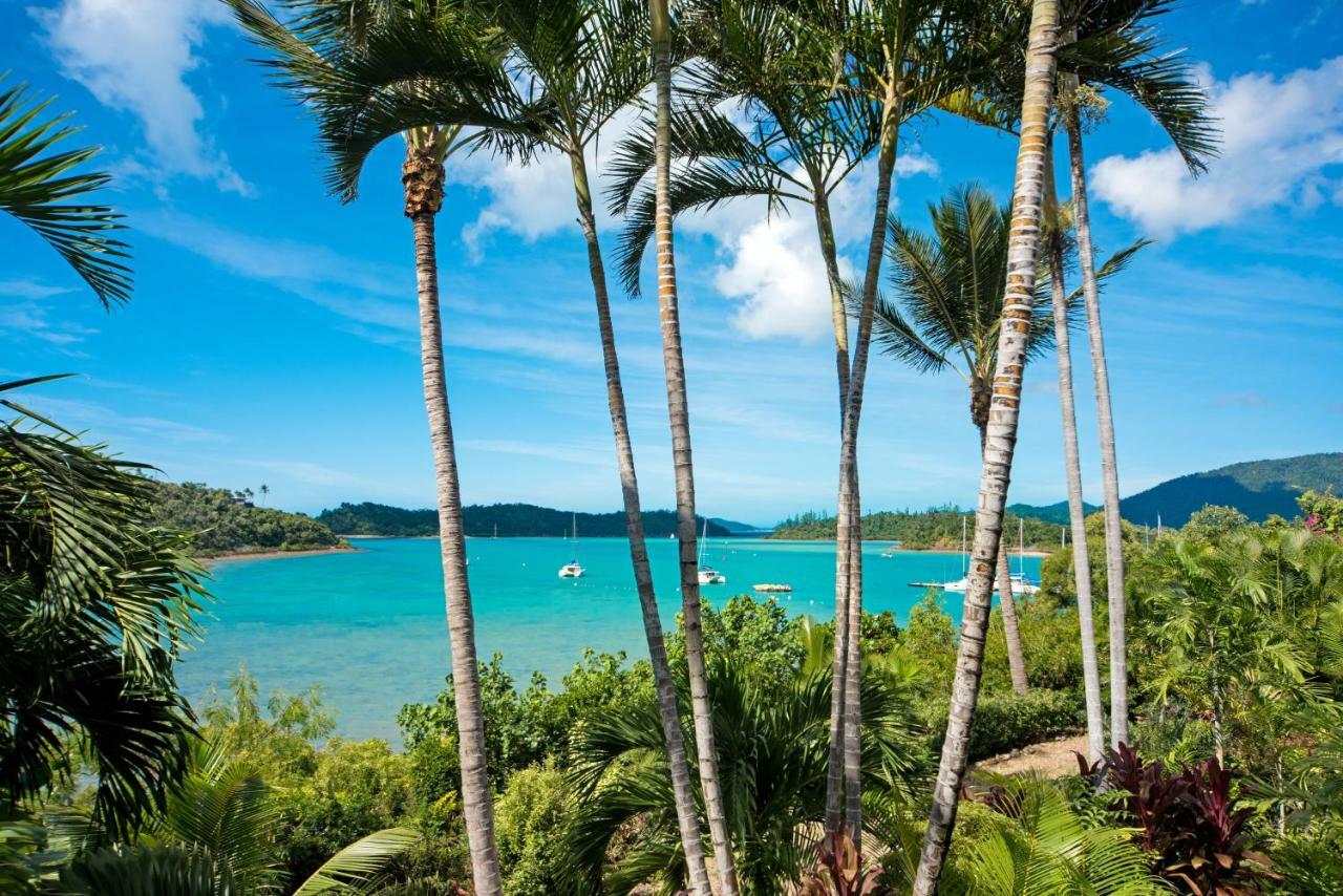 Baybliss Apartments Studio 1 Shute Harbour 外观 照片